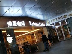 -猫屎咖啡(日月光中心广场店)