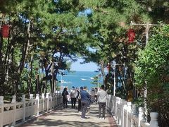 -林海公园