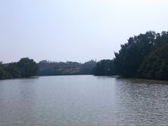 -大亚湾红树林城市湿地公园