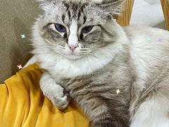 -白兔子密室(长寿路店)