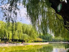 -团结湖公园