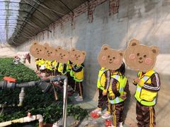 -美加国际幼儿园(四季青校区)