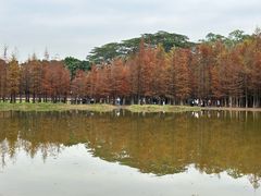 -番禺大夫山森林公园