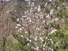 -天津盘山风景名胜区
