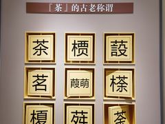 -中国茶叶博物馆(双峰馆区)
