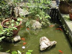 -中国观音故里广德景区