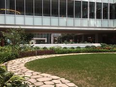 -香港大学
