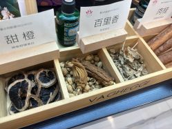 -阅年轻·AI家庭健康体质调理