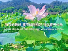-红山村