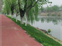 -东郊湿地公园