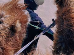 -库伦旗银沙湾旅游景区