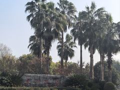 -东湖落雁景区