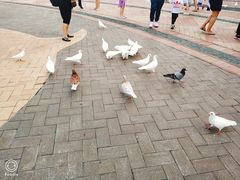 -波塞冬旅游度假区