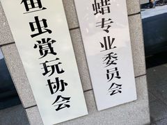 -苏州艺都古玩花鸟市场