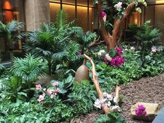 -碧桂园润杨溪谷温泉酒店