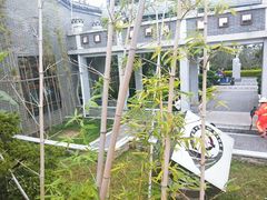 -宝安西湾红树林湿地公园