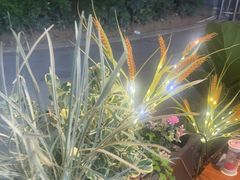 -木屋烧烤(龙岗龙城万科里店)