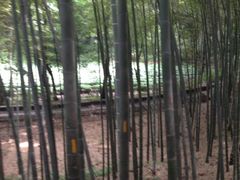 iphone_upload_pic-杭州黄龙洞