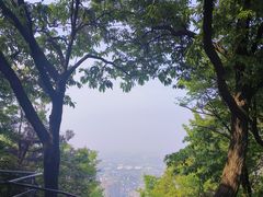 -惠山国家森林公园