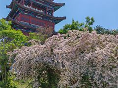 -杨家埠民间艺术大观园