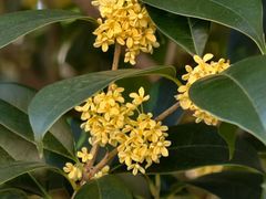 -敬亭山风景名胜区