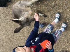 -费瑟代尔野生动物园