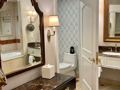 -澳门威尼斯人综合度假区