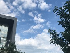 -中央财经大学-食堂