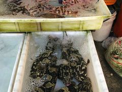 -拉威海鲜市场