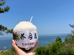 -养马岛旅游度假区