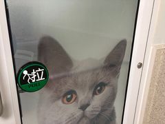 -谐和贝康宠物医院24小时·宠保定点(急重症转诊中心)