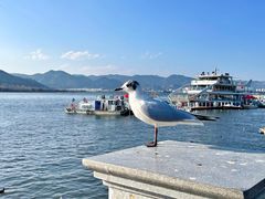 -滇池海埂公园