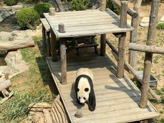 -大连森林动物园