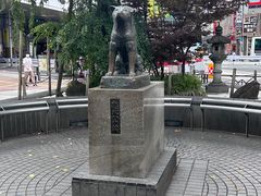 -涩谷区