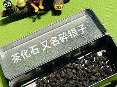 -诗宇时光茶艺书法古琴培训