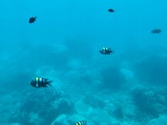 -亚龙湾海底世界
