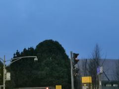 -金沙遗址博物馆