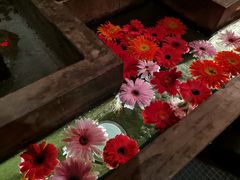 -花马天堂云南餐厅 Lost Heaven(外滩店)