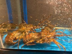 -Mr·Fish鱼鲜生海鲜放题(银泰in99店)