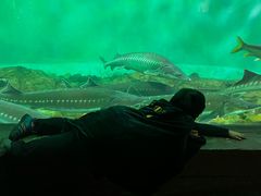 -中央电视塔旋转餐厅