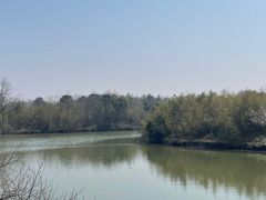 -上海海湾国家森林公园