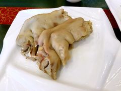 -丁老爷子苏香圆
