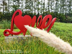 -上海长兴岛郊野公园