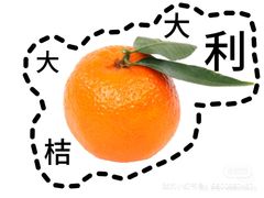 -大连凯丹广场