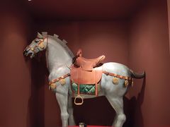 -西安大唐西市博物馆