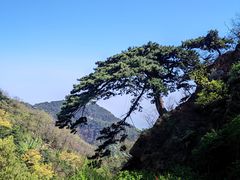 -泰山风景名胜区