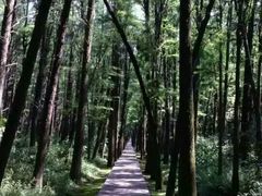 -同里国家湿地公园