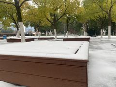 -天鹅湖体育公园