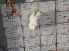 -奇门密室(五一新干线店)