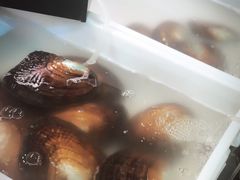 -十八字金·银饰·拼豆·开蚌DIY(魏公芳华里店)